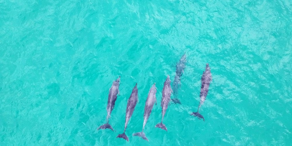 byron-bay-photos (24)